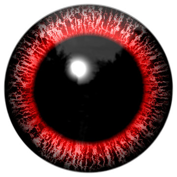 Red bloody alien or bird eye