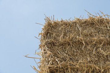 Wheat haystack