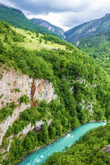 Fototapeta premium Green hills and mountain river. Natural landscape, Montenegro