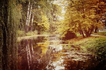 lake in the autumn park