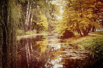 Obraz premium lake in the autumn park