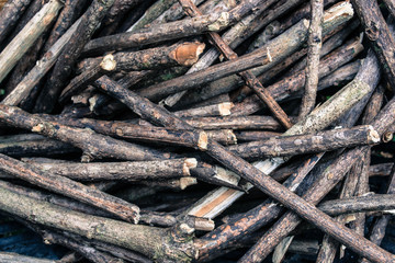 Sicks and twigs, dry twigs,wood