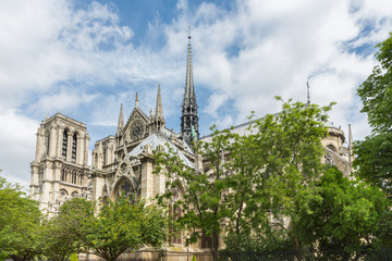 Fototapeta na wymiar Notre Dame cathedral in springtime, Paris France
