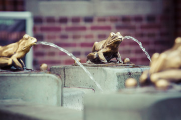 Fountain with golden lucky frog - the symbol of Torun city (Pola