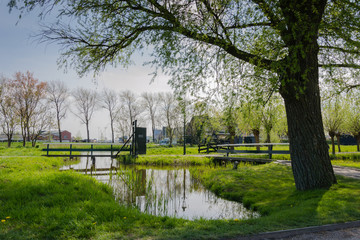 Fototapeta na wymiar View of Zaanse Schans in Amsterdam - Netherlands