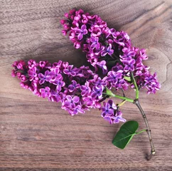 Crédence de cuisine en verre imprimé Lilas Fleurs de lilas violet et blanc