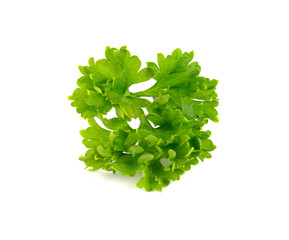 parsley isolated on white background