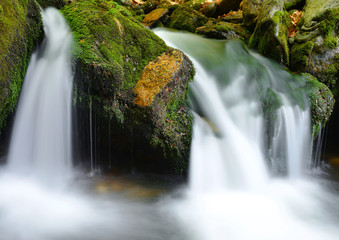 Creek in the national park Sumava-Czech Republic 