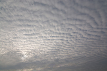 fluffy clouds - Schäfchenwolken