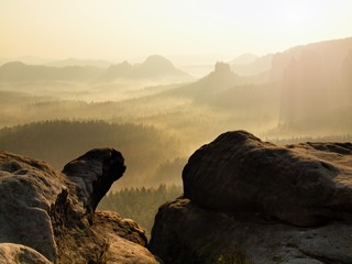 Magnificent landscape , spring pink misty sunrise in rocks