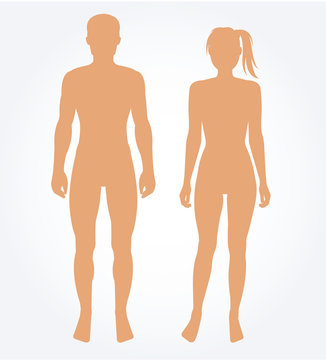 Man and woman body template. Vector illustration