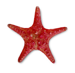 Starfish