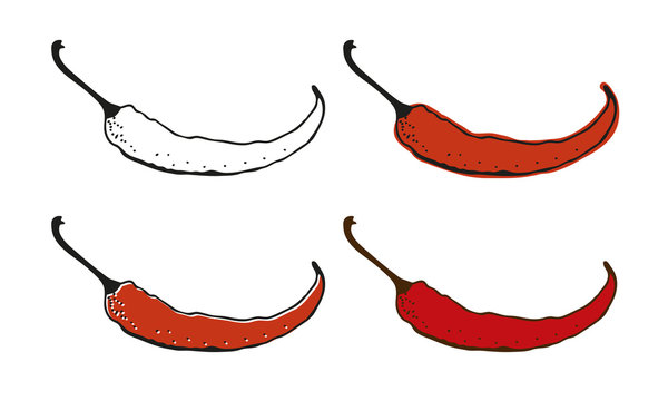 Chili pepper drawing