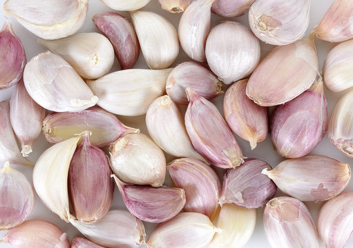 Close up garlic background