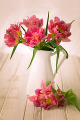  pink double peony tulip