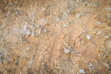laterite soil