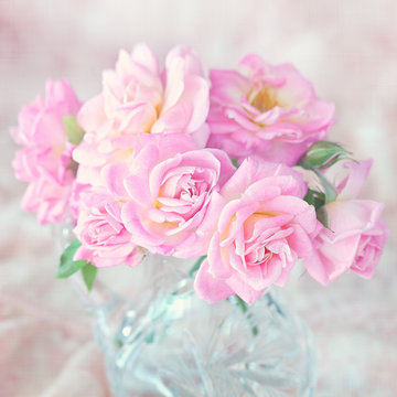 Beautiful fresh pink roses  on a light background.