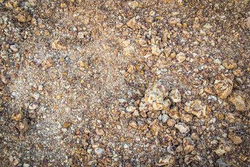 laterite soil