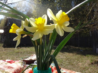 Пикник с накрытым столом и барбекю на даче