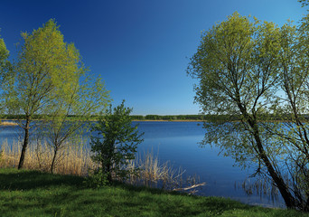 Fototapeta na wymiar green trees on the river bank
