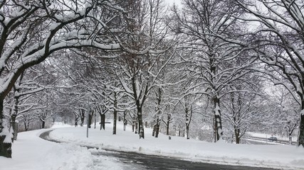 English gardens in Munich in winter