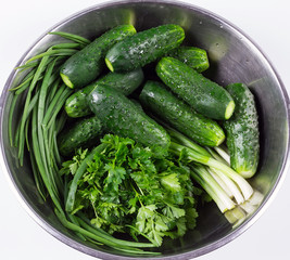 Fresh cucumbers and fresh herbs in a bowl isolated