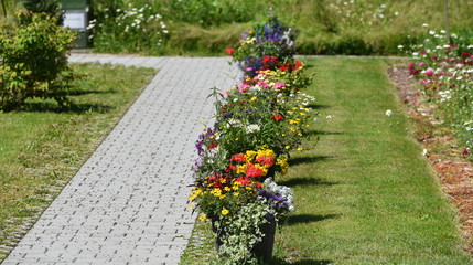 jardin de fleuriste