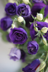 Букет эустомы