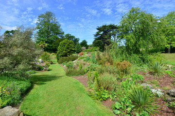 A burnt out English country estate and gardens in June 2015