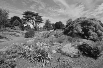 A burnt out English country estate and gardens in June 2015