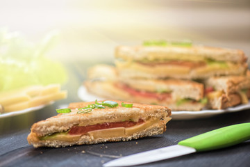 Cheese sandwich