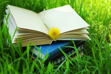 Stacked books in grass, outside
