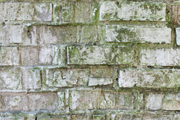 Texture. Brick. Wall. A background with attritions and cracks