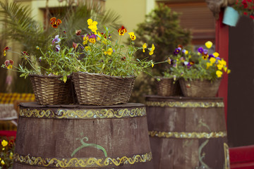 barrel with flowers near street cafe