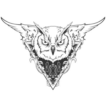 Owl head illustration