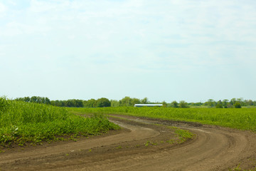 Country road over blue sky background