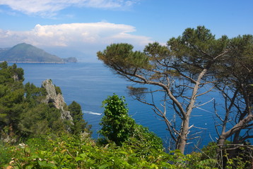 Fototapeta na wymiar Inselparadies-I-Capri-Italien