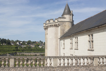 Fototapeta na wymiar Villandry et son château