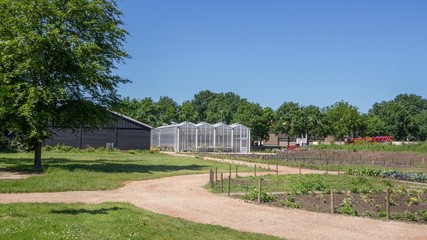 Public city garden with a greenhouse and vegetables