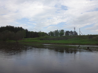 Озеро летом в окружении зелени