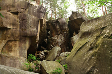 Fototapeta na wymiar Rocks and trunks of trees in park