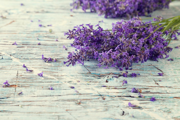 Naklejka premium Fresh lavender on wood