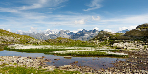 Naklejka na ściany i meble Moorlandschaft im Hochgebirge der tiroler Alpen als Panoramabild