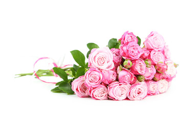 beautiful pink roses isolated on white