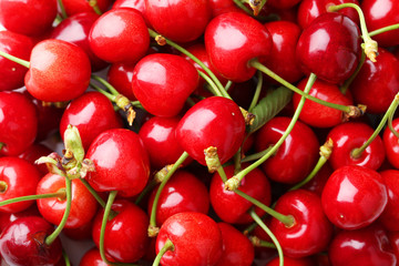 Ripe cherries background