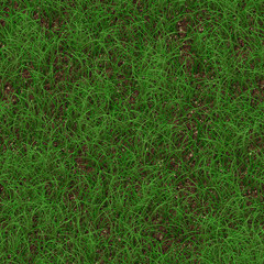 Grass generated seamless texture