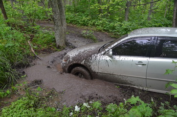 A cut stuck in dirt and mud