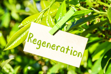 Regeneration