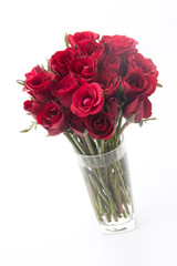 red rose