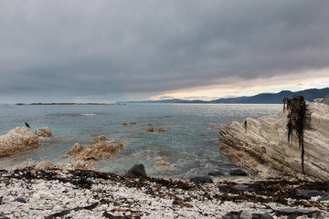 Limestone slabs and rocks on a shore, Kaikoura, New Zealand
